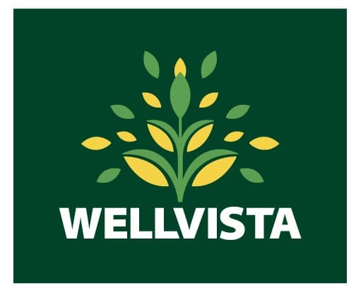 WellVista